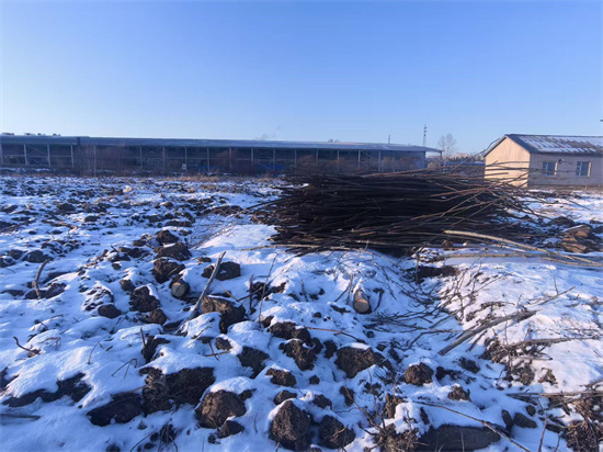 1765349741867639.jpg 微信圖片_20251210112958_23_22.jpg